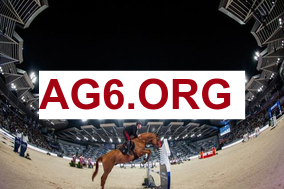 多特蒙德 vs 弗赖堡 赛事直播入口